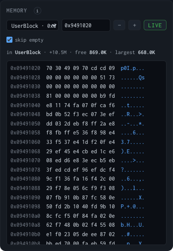 The Memory section of the debug panel